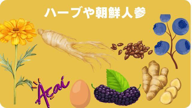 しつけプラスとエッセンシャルドッグフード
