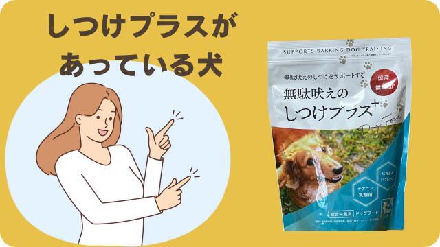 しつけプラスとマックアダムズドッグフードチキン
