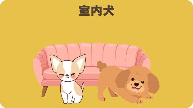 しつけプラスとマックアダムズドッグフードチキン