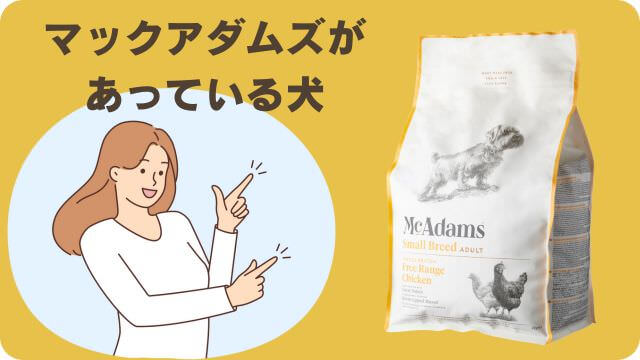 しつけプラスとマックアダムズドッグフードチキン