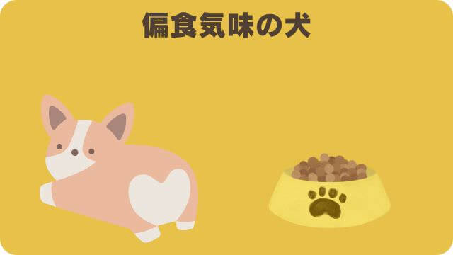 しつけプラスとマックアダムズドッグフードチキン