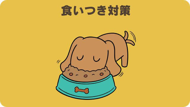 しつけプラスとマックアダムズドッグフードチキン