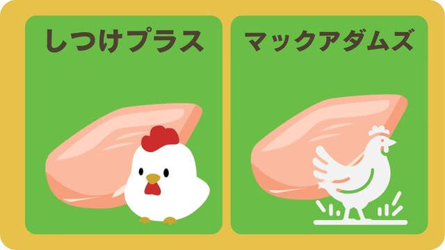 しつけプラスとマックアダムズドッグフードチキン