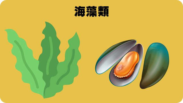 しつけプラスとマックアダムズドッグフードチキン