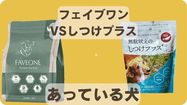 フェイブワンとしつけプラス