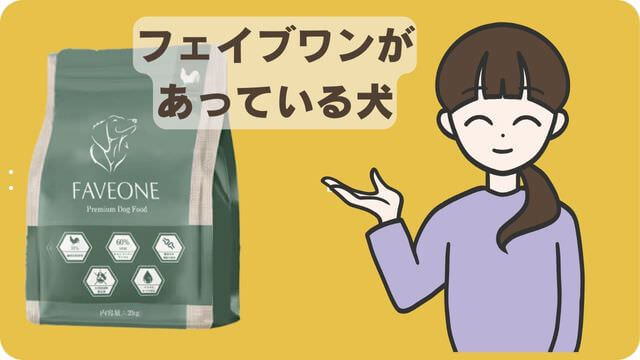 フェイブワンとしつけプラス