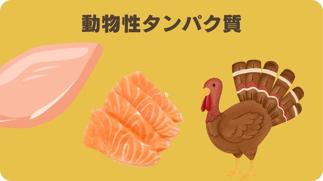 フェイブワンとしつけプラス