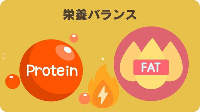 フェイブワンとしつけプラス