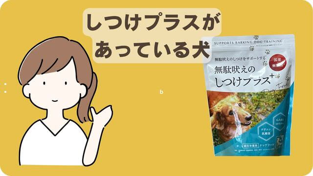 フェイブワンとしつけプラス