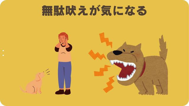 フェイブワンとしつけプラス
