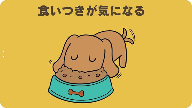 フェイブワンとしつけプラス
