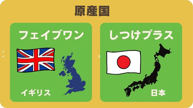 フェイブワンとしつけプラス