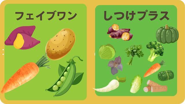 フェイブワンとしつけプラス
