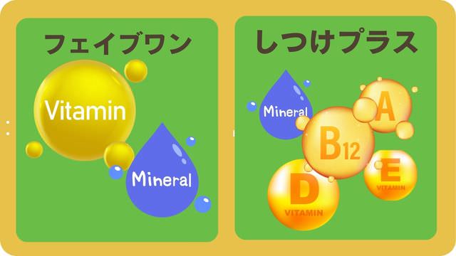 フェイブワンとしつけプラス