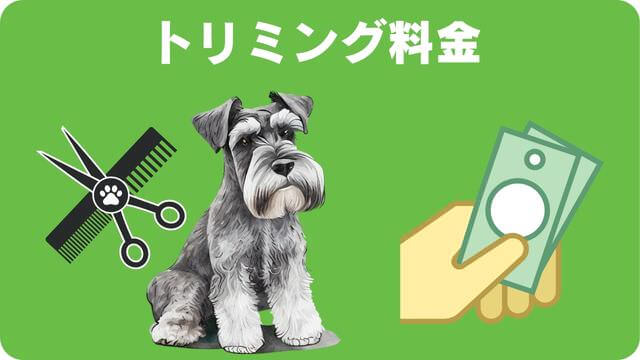 ミニチュアシュナウザー のトリミング
