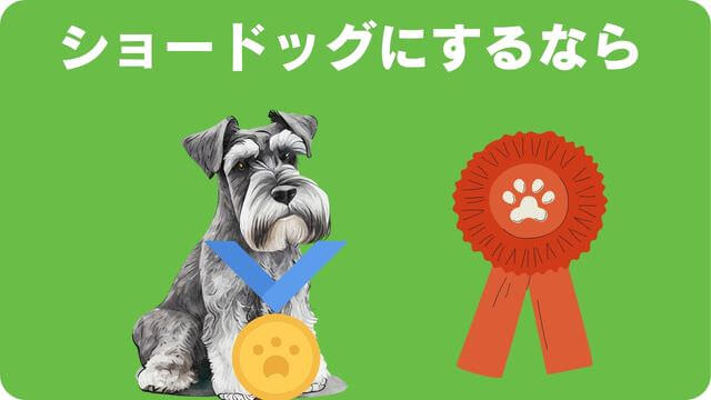 ミニチュアシュナウザー のトリミング
