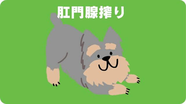 ミニチュアシュナウザー のトリミング