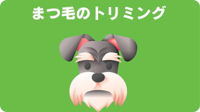 ミニチュアシュナウザー のトリミング