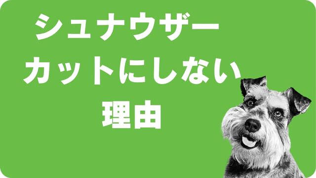 ミニチュアシュナウザー のトリミング