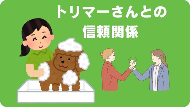 ミニチュアシュナウザー のトリミング