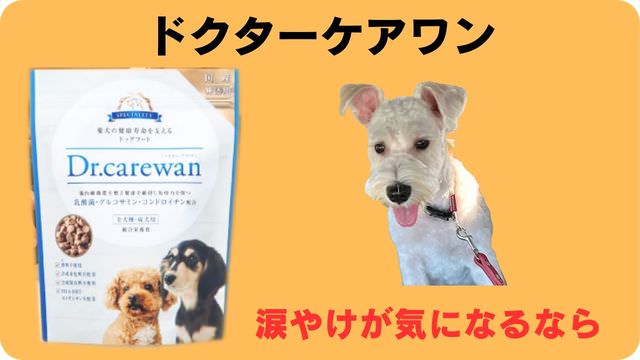 ミニチュアシュナウザー ドッグフード