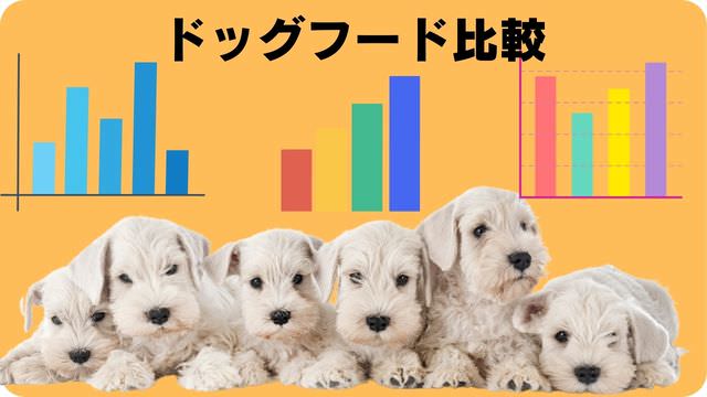 ミニチュアシュナウザー ドッグフード
