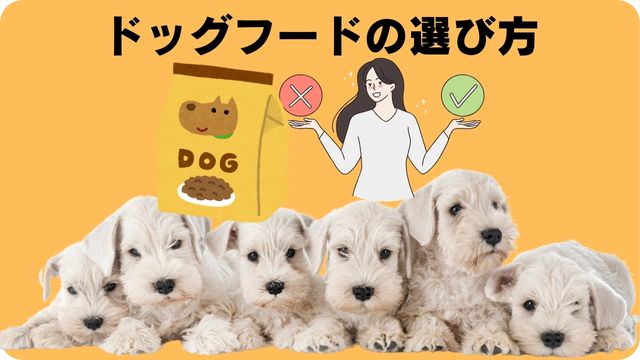 ミニチュアシュナウザー ドッグフード