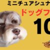 ミニチュアシュナウザー ドッグフード
