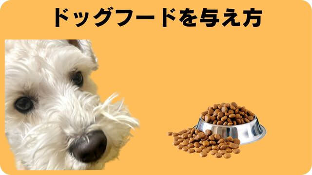 ミニチュアシュナウザー ドッグフード