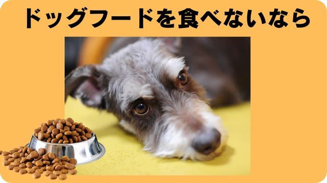 ミニチュアシュナウザー ドッグフード