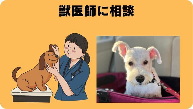 ミニチュアシュナウザー ドッグフード