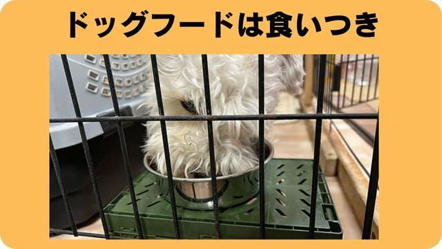 ミニチュアシュナウザー ドッグフード