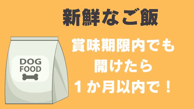 ミニチュアシュナウザー ご飯食べない