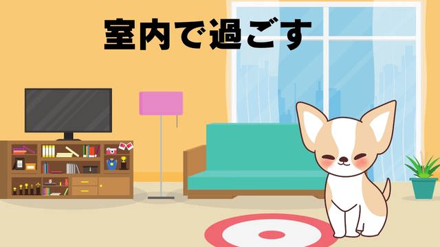 うまかドッグフード