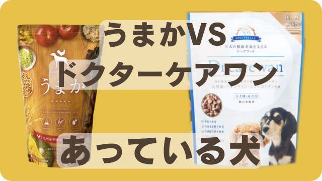 うまかドッグフードとドクターケアワン