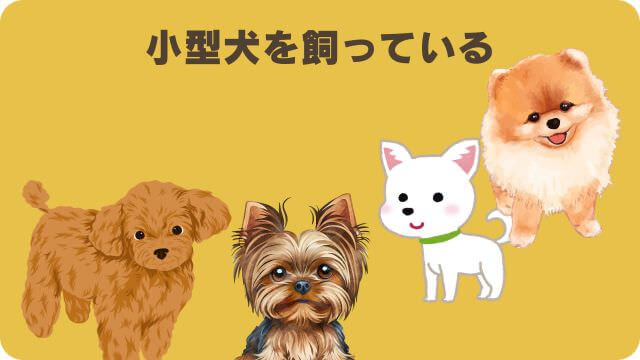 うまかドッグフードとドクターケアワン