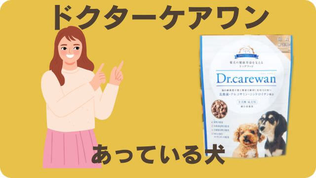 うまかドッグフードとドクターケアワン