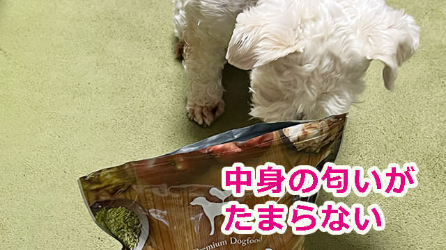 うまかドッグフード