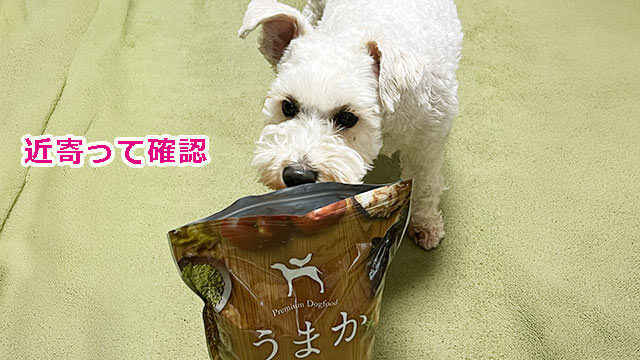 うまかドッグフード