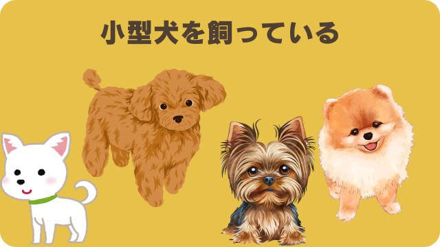 うまかドッグフードとしつけプラス