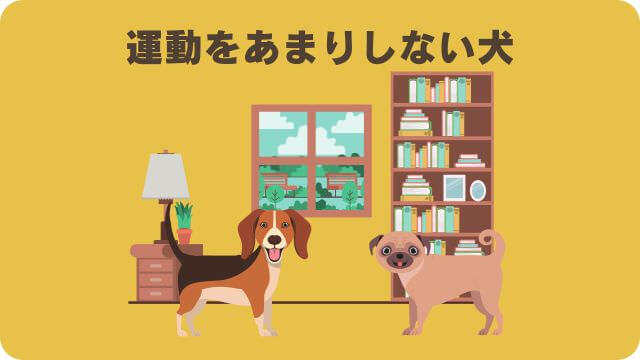 うまかドッグフードとしつけプラス