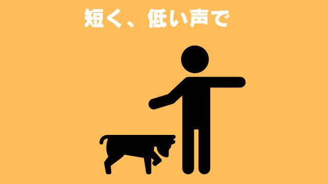 犬の無駄吠えをしつけ