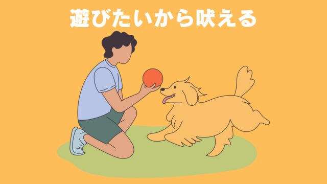 犬の無駄吠えをしつけ