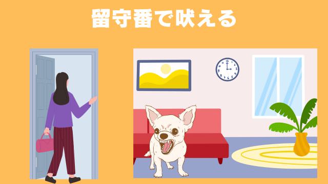 犬の無駄吠えをしつけ