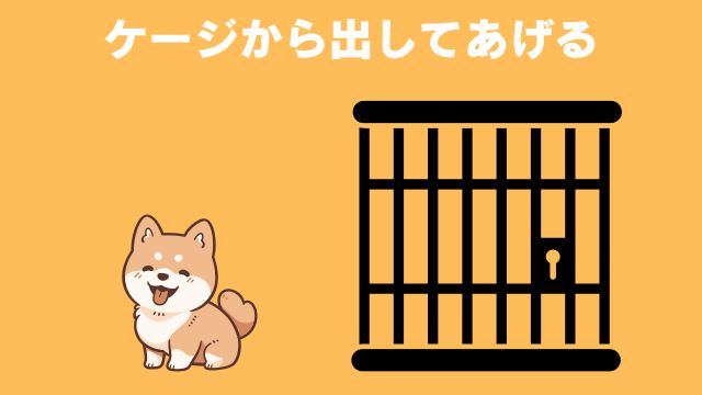犬の無駄吠えをしつけ