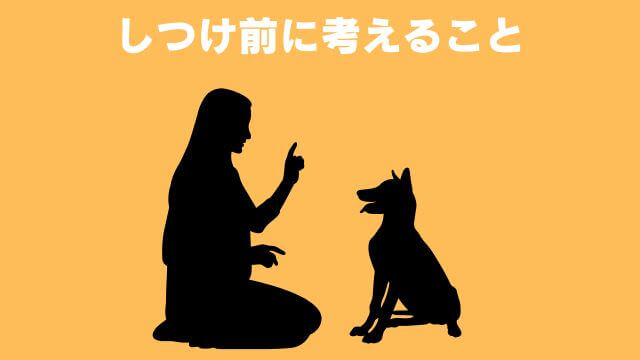 犬の無駄吠えをしつけ