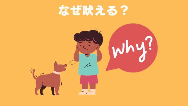 犬の無駄吠えをしつけ