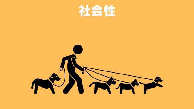 犬の無駄吠えをしつけ