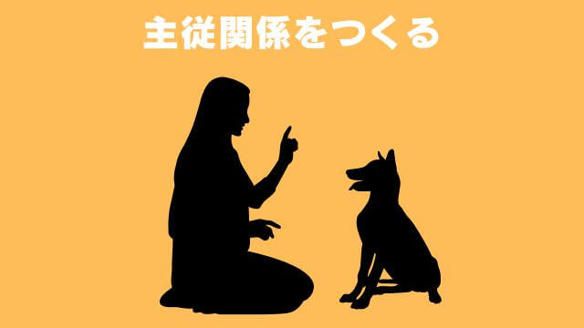 犬の無駄吠えをしつけ