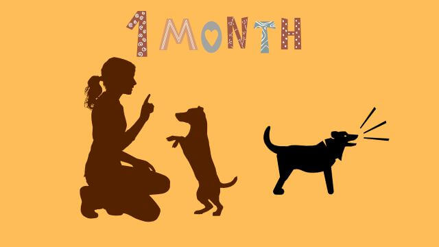 犬の無駄吠えをしつけ